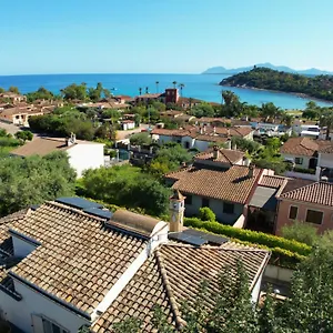Monni , Àrbatax Italia